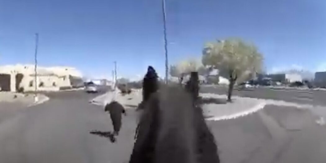 Police on Horseback Chase Alleged Shoplifter in Albuquerque – Soldier ...